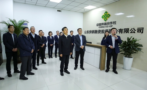 省人大常委會副主任王藝華帶隊到省供銷社調研